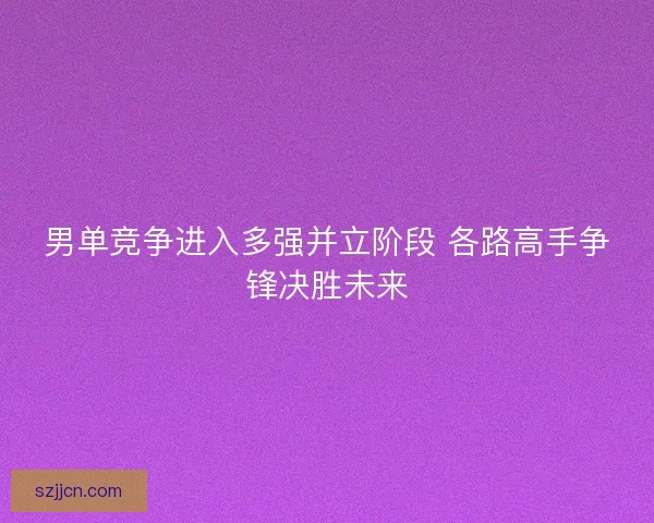 男单竞争进入多强并立阶段 各路高手争锋决胜未来